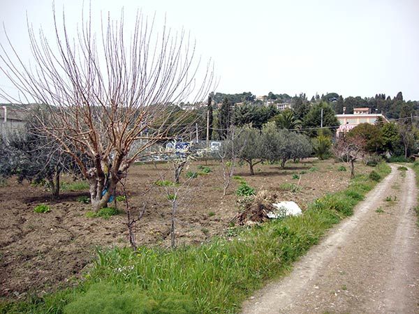 Indagini geologiche - Individuazione di un'area edificabile a Caltanissetta finalizzata alla realizzazione di una villa familiare.