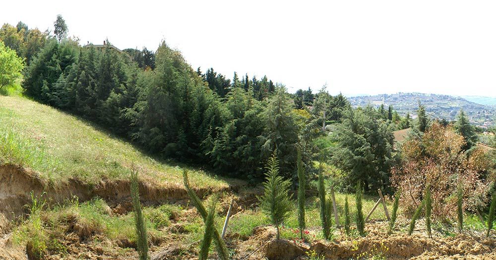 ferma il terreno che scivola via e crea danni alla tua abitazione